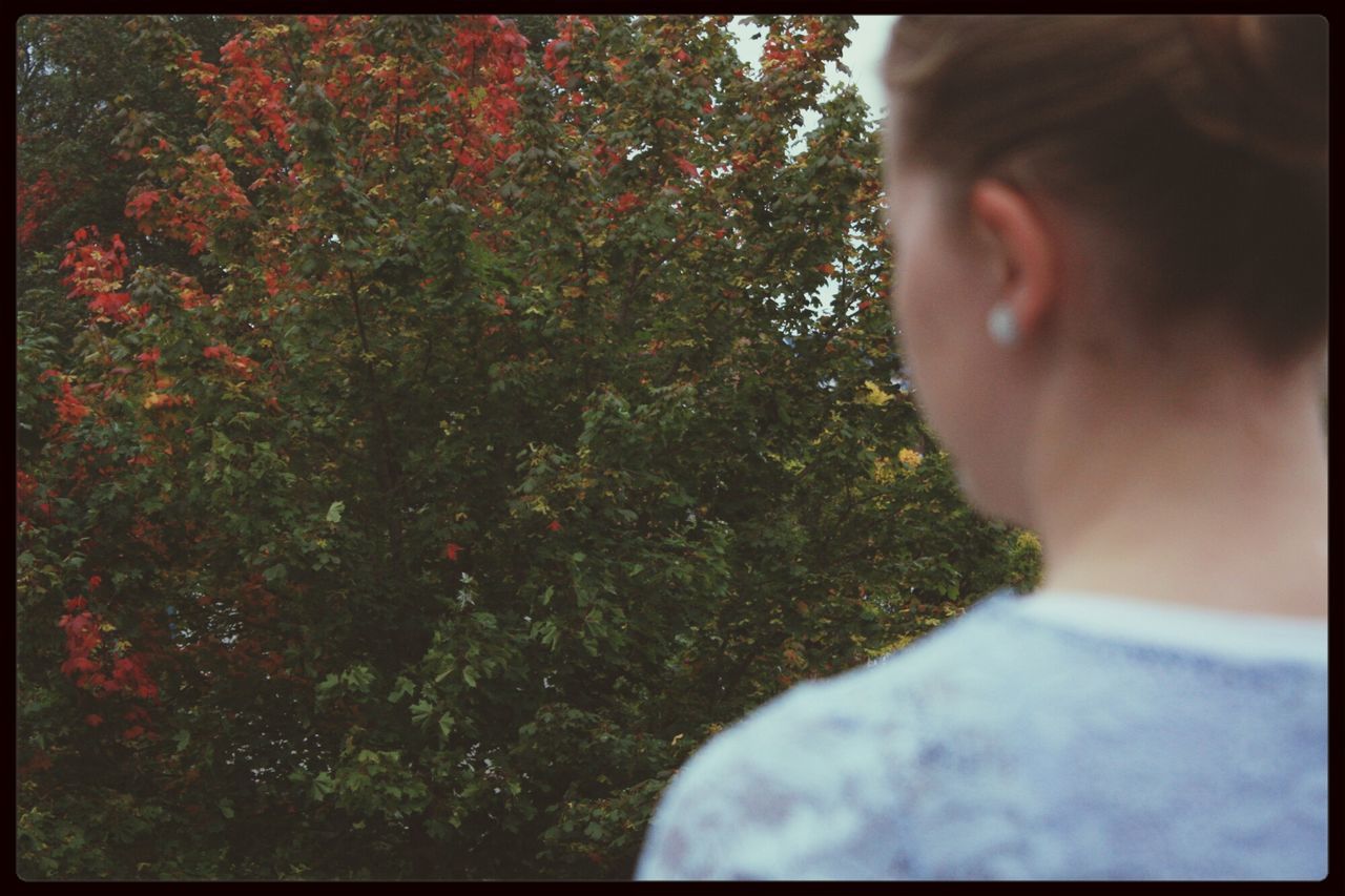 transfer print, auto post production filter, lifestyles, leisure activity, tree, headshot, close-up, person, childhood, day, green color, part of, growth, outdoors, focus on foreground, nature, sunlight