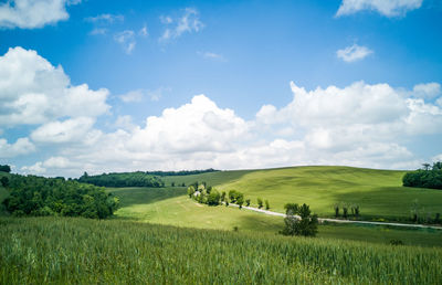 Scenic view of agricultural field against sky