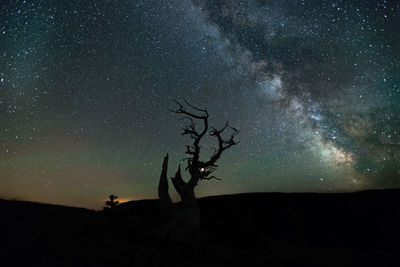 Silhouette tree on landscape against sky at night