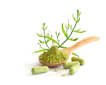 Close-up of plant against white background