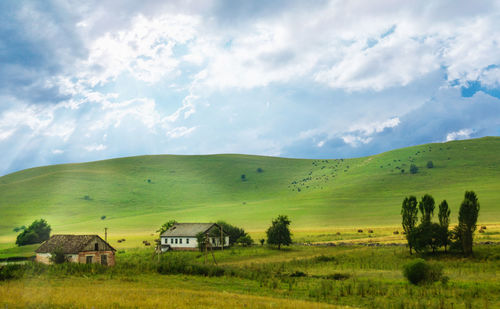 Houses on field against sky