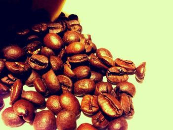 Close-up of coffee beans