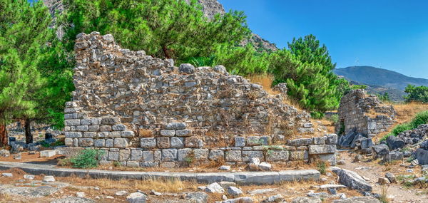 Stone wall with trees in background