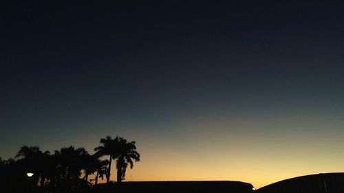 Silhouette trees against sky at night