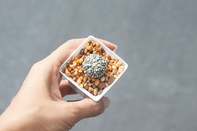 Close-up of hand holding ice cream