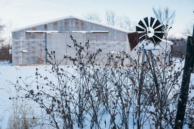 Bare trees by building against sky during winter