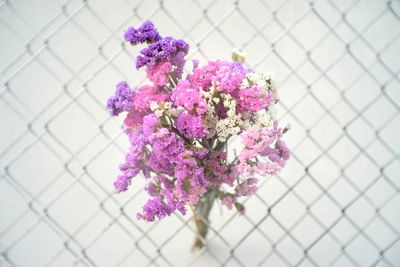 Bunch of flowers against chainlink fence