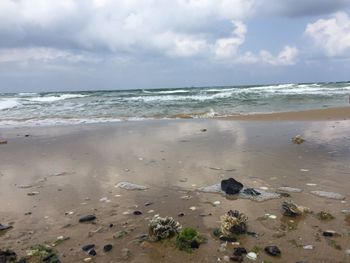 Scenic view of beach