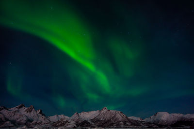 Low angle view of green mountain against sky at night