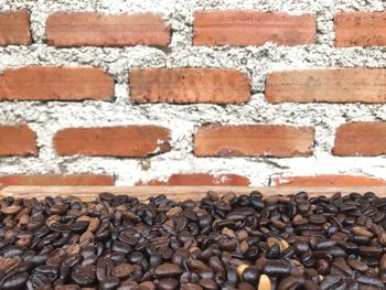 Close-up of coffee beans against wall