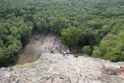 High angle view of people on rocks in forest