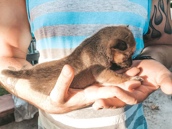 Midsection of man holding dog