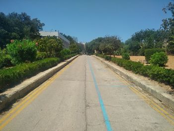 Empty road along trees and plants