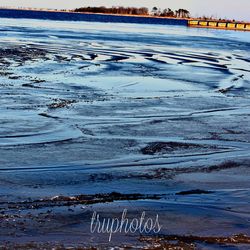 View of birds in frozen sea during winter