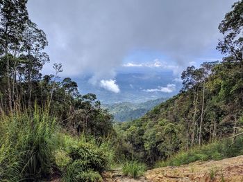 Scenic view of trees and mountains against sky