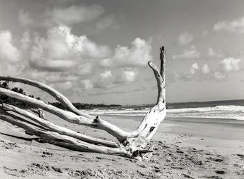 Scenic view of beach against sky