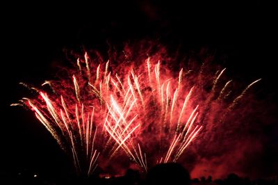 Low angle view of firework display against sky at night