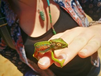 Close-up of woman holding leaf