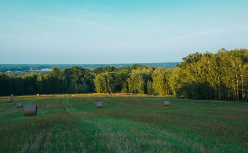 Scenic view of field by sea against sky