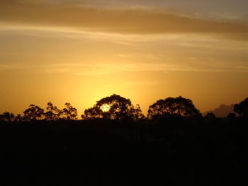 Silhouette trees against sky during sunset