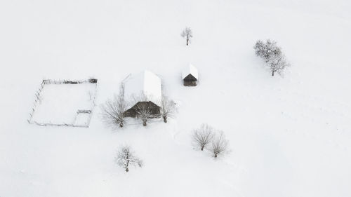 High angle view of trees on snow covered field