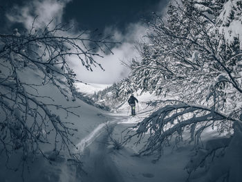 Person skiing on snow covered mountain