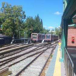 Train on railroad tracks