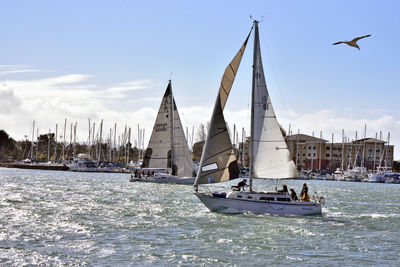 People sailing on sea against sky