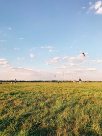 Scenic view of field against sky