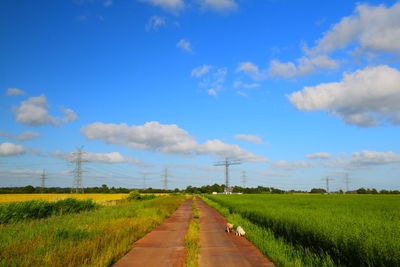 Road amidst field against sky