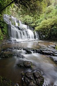 View of waterfall in forest