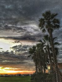 Silhouette of trees at sunset