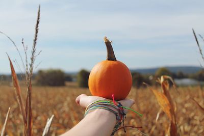 Close-up of woman hand by pumpkin on field against sky