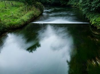 Scenic view of river flowing through forest