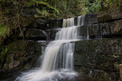 Scenic view of waterfall in forest