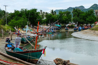 Boats moored by trees against sky