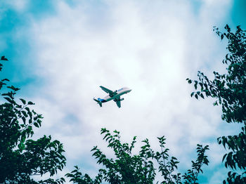 Low angle view of airplane flying in sky