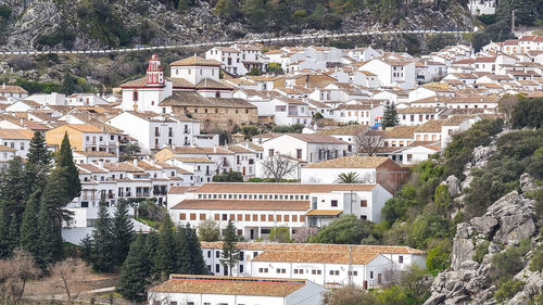 Buildings in town