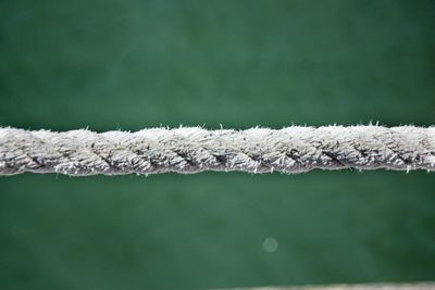 Close-up of rope against green wall