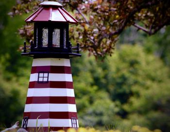 Close-up of birdhouse