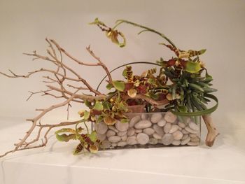 Close-up of potted plant on table against wall