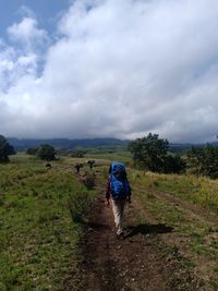 Rear view of woman walking on trail