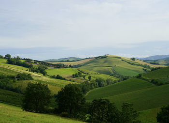 Scenic view of agricultural field against sky