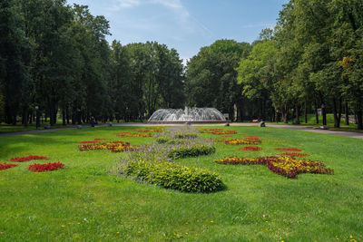 Scenic view of park