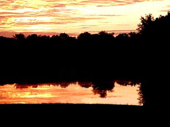 Silhouette trees against orange sky