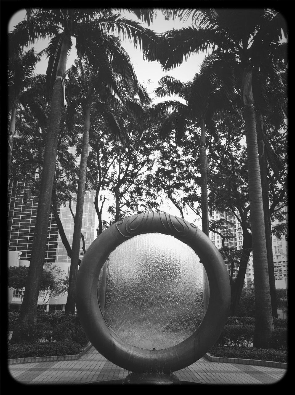 transfer print, auto post production filter, tree, growth, branch, sunlight, close-up, no people, day, nature, low angle view, park - man made space, outdoors, plant, metal, shadow, circle, sky, frame, built structure