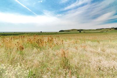 Scenic view of field against cloudy sky