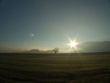 Scenic view of sun shining on grassy landscape