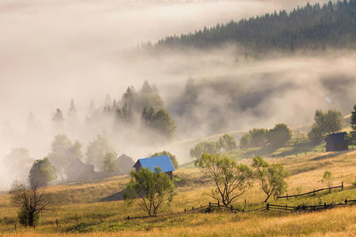 Scenic view of trees against sky during foggy weather