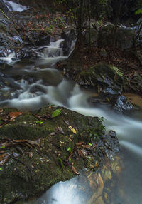 Stream flowing through rocks in forest